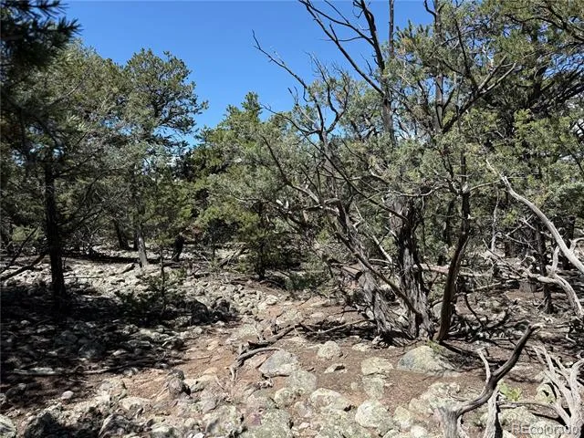 2150 Indian Well Way Crestone, CO 81131