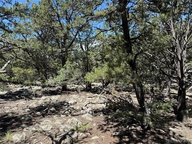 2150 Indian Well Way Crestone, CO 81131