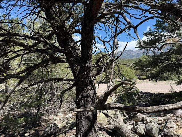 2150 Indian Well Way Crestone, CO 81131