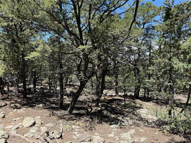 2150 Indian Well Way Crestone, CO 81131