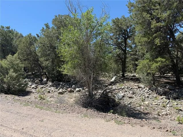 2150 Indian Well Way Crestone, CO 81131