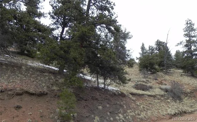 153 Idlewild Drive Cripple Creek, CO 80813