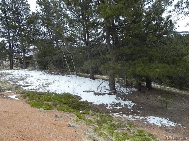153 Idlewild Drive Cripple Creek, CO 80813