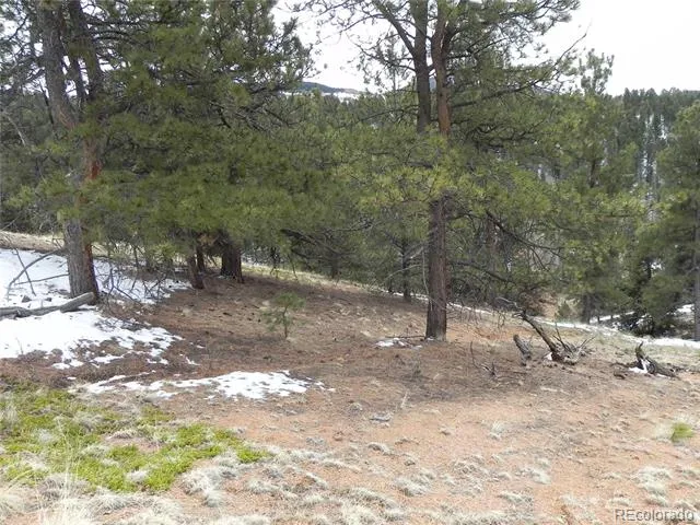 153 Idlewild Drive Cripple Creek, CO 80813