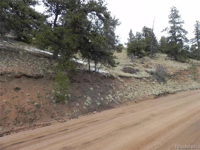 153 Idlewild Drive Cripple Creek, CO 80813