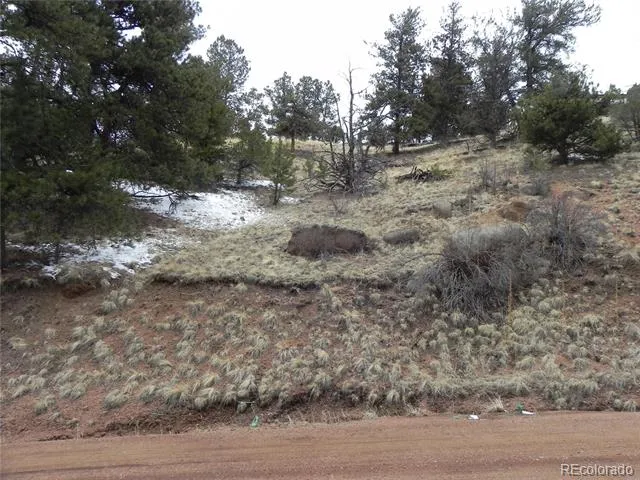 153 Idlewild Drive Cripple Creek, CO 80813