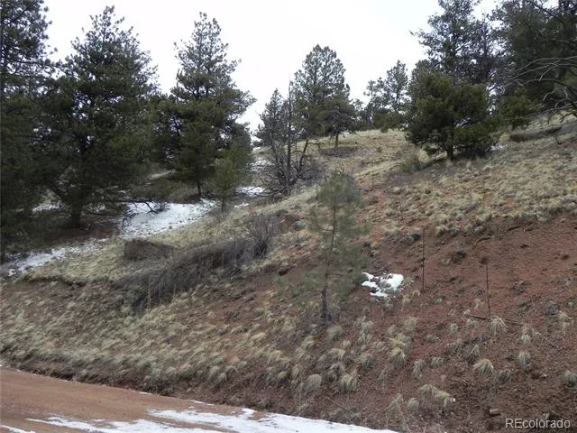 153 Idlewild Drive Cripple Creek, CO 80813