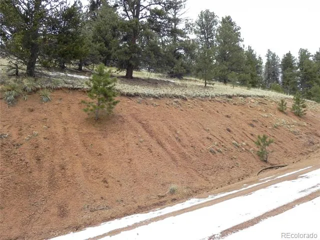 153 Idlewild Drive Cripple Creek, CO 80813