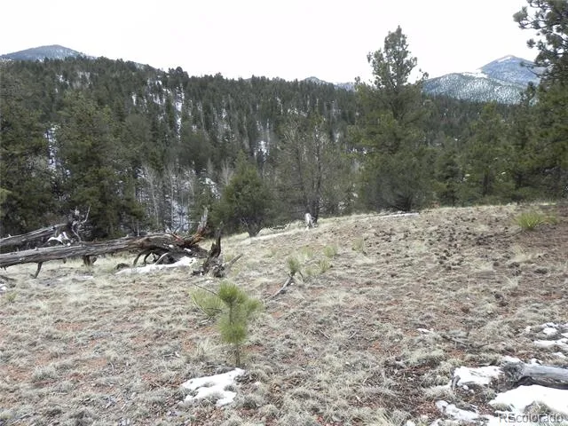 153 Idlewild Drive Cripple Creek, CO 80813