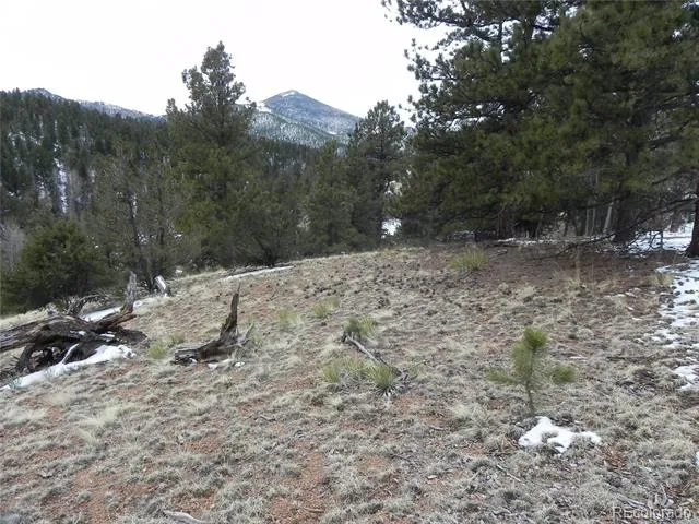 153 Idlewild Drive Cripple Creek, CO 80813