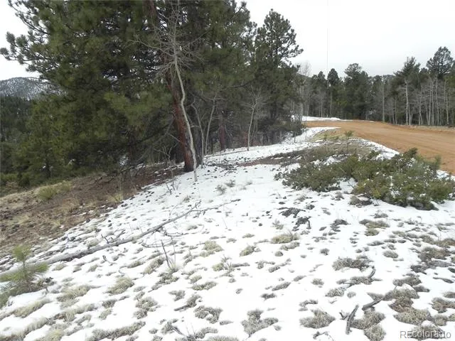 153 Idlewild Drive Cripple Creek, CO 80813