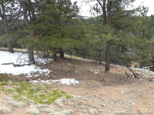 153 Idlewild Drive Cripple Creek, CO 80813