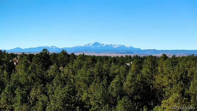 1133 Tomichi Drive Franktown, CO 80116