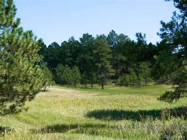 1133 Tomichi Drive Franktown, CO 80116