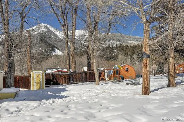 129 Lang Street Twin Lakes, CO 81251