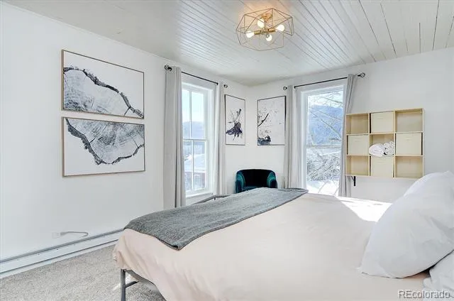 129 Lang Street Twin Lakes, CO 81251