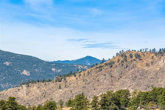 759 Palisade Mountain Drive Drake, CO 80515