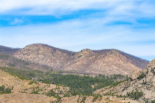 759 Palisade Mountain Drive Drake, CO 80515