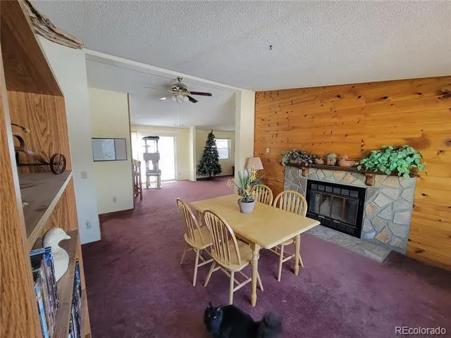 759 Palisade Mountain Drive Drake, CO 80515