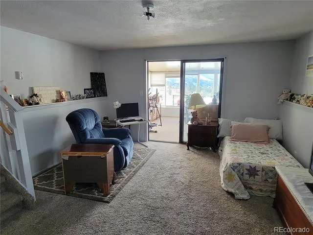 759 Palisade Mountain Drive Drake, CO 80515