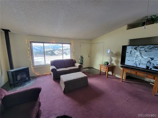 759 Palisade Mountain Drive Drake, CO 80515