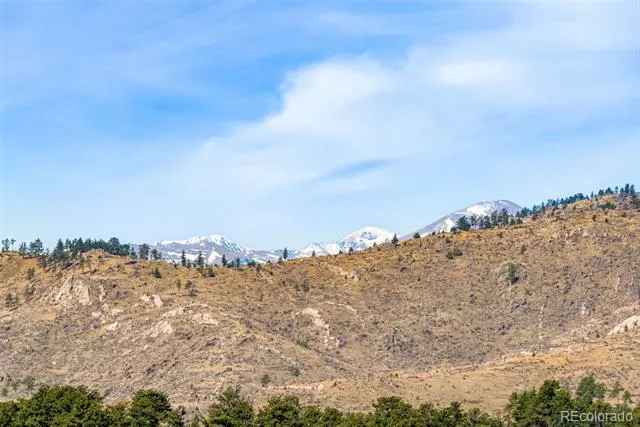 759 Palisade Mountain Drive Drake, CO 80515