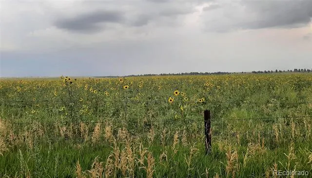 21550 Elk Meadows Circle Elbert, CO 80106