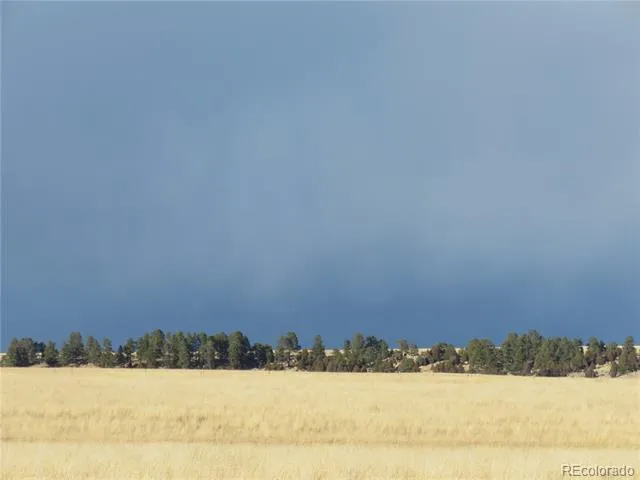 21550 Elk Meadows Circle Elbert, CO 80106