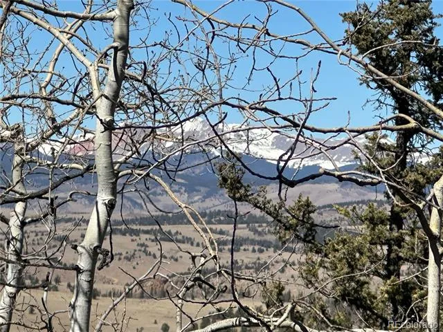 505 Quarter Horse Road Jefferson, CO 80456
