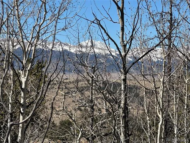 505 Quarter Horse Road Jefferson, CO 80456
