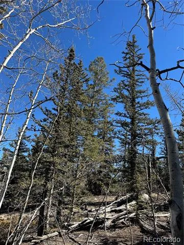 505 Quarter Horse Road Jefferson, CO 80456