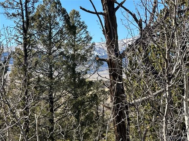 505 Quarter Horse Road Jefferson, CO 80456