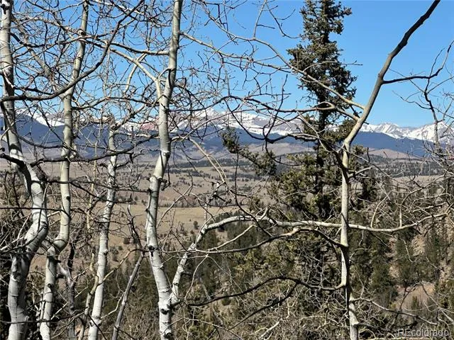 505 Quarter Horse Road Jefferson, CO 80456