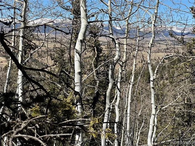 505 Quarter Horse Road Jefferson, CO 80456