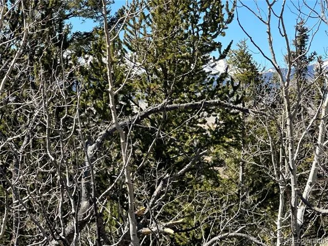 505 Quarter Horse Road Jefferson, CO 80456