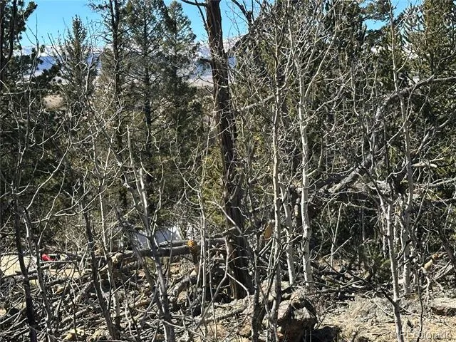 505 Quarter Horse Road Jefferson, CO 80456