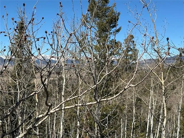 505 Quarter Horse Road Jefferson, CO 80456