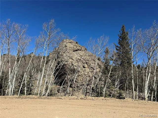 505 Quarter Horse Road Jefferson, CO 80456