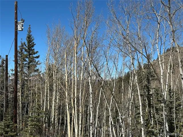 505 Quarter Horse Road Jefferson, CO 80456