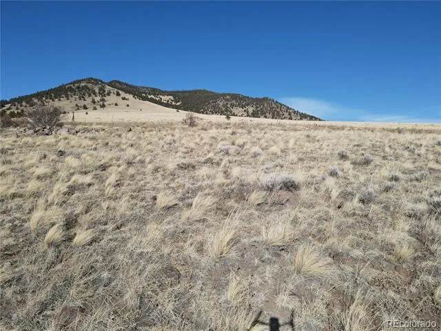 341 Lakeview Trail Guffey, CO 80820