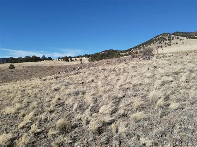 341 Lakeview Trail Guffey, CO 80820