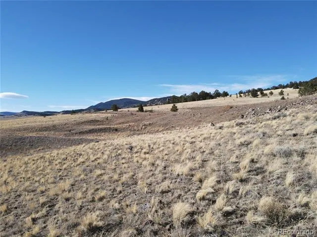 341 Lakeview Trail Guffey, CO 80820