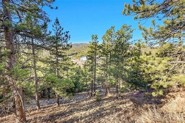 27292 Ridge Trail Conifer, CO 80433