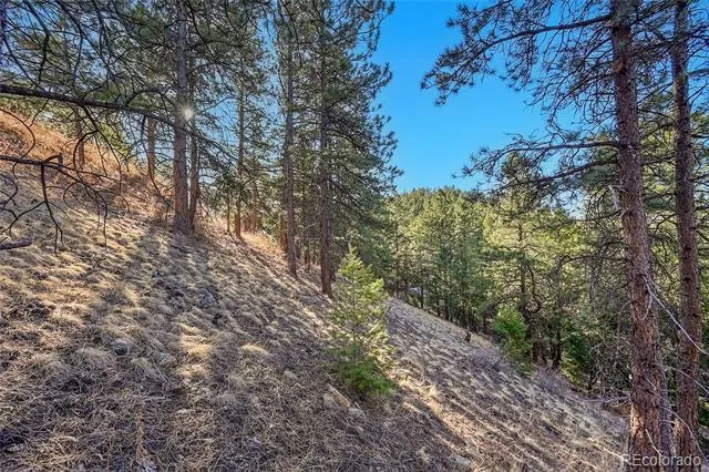 27292 Ridge Trail Conifer, CO 80433