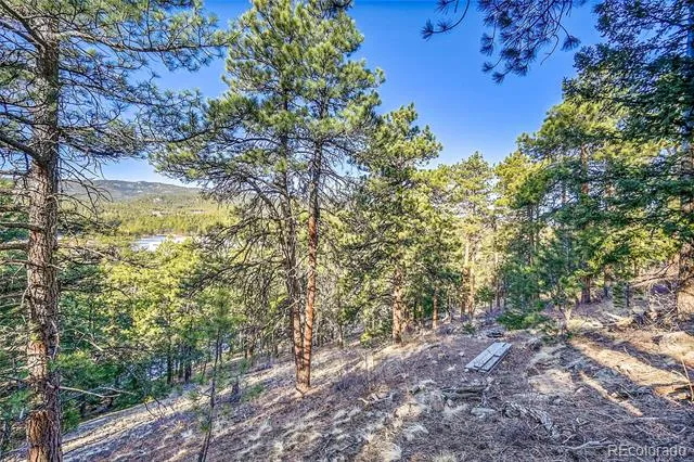 27292 Ridge Trail Conifer, CO 80433