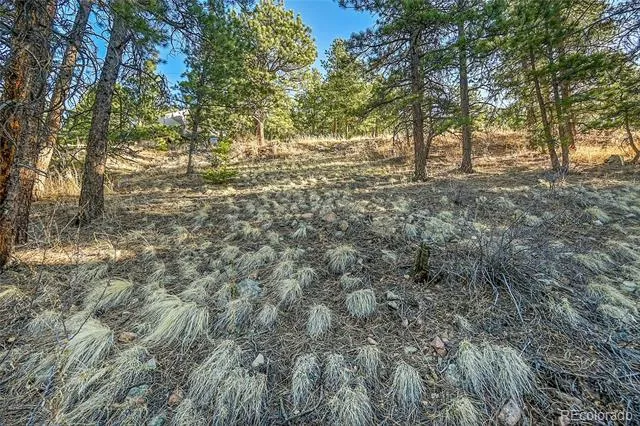 27292 Ridge Trail Conifer, CO 80433