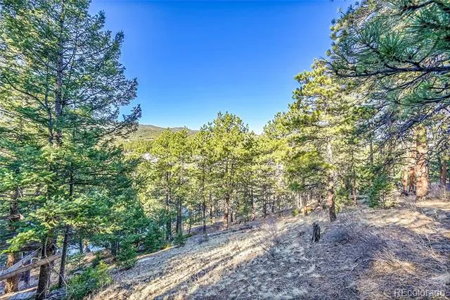 27292 Ridge Trail Conifer, CO 80433