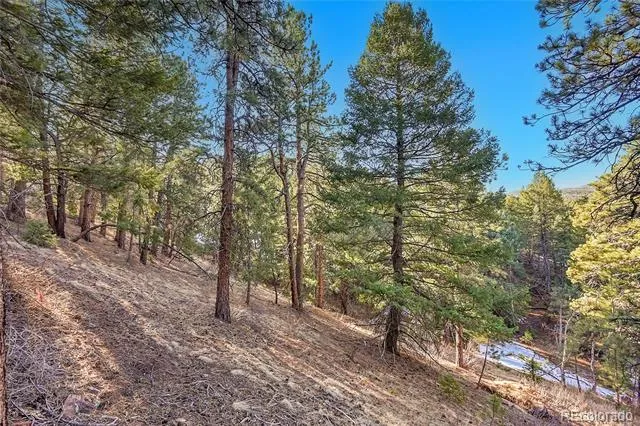27292 Ridge Trail Conifer, CO 80433