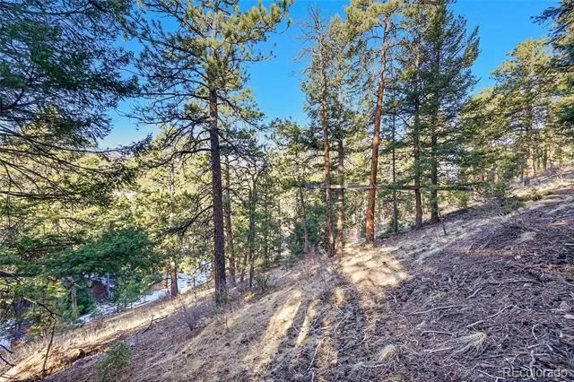 27292 Ridge Trail Conifer, CO 80433