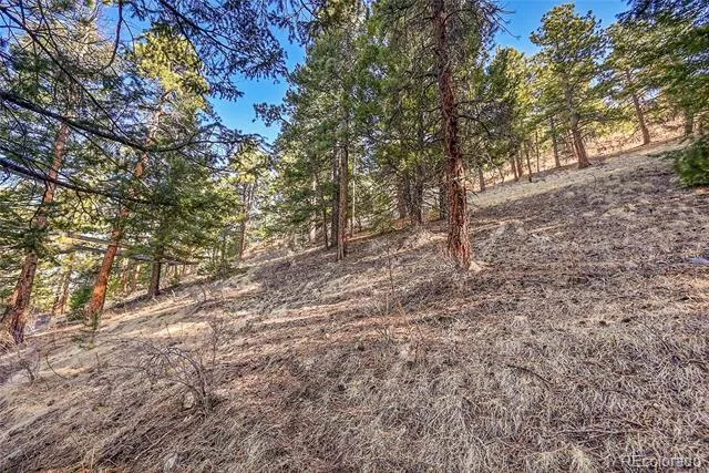 27292 Ridge Trail Conifer, CO 80433